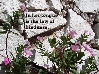 [In her tongue is the law of kindness (Proverbs 31:26)]