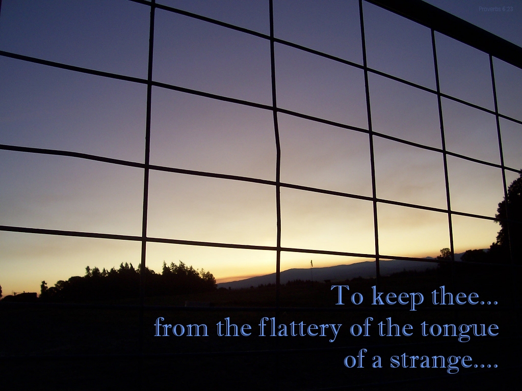 To keep thee from the flattery of the tongue of the strange... (Proverbs 6:24)