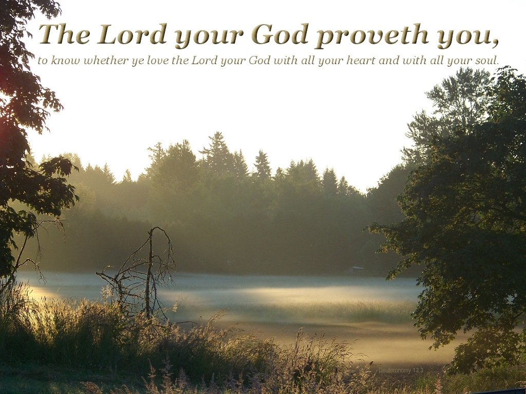 The Lord your God proveth you.