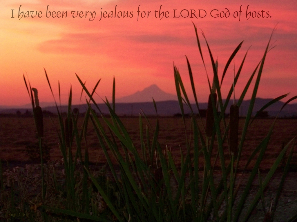I have been very jealous for the LORD God of hosts (1 Kings 19:10)