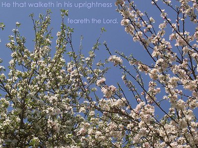 [He that walketh in his uprightness feareth the LORD (Proverbs 14:2)]