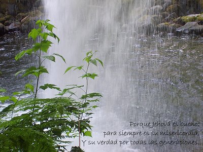 [Porque Jehová es bueno; para siempre es su misericordia, Y su verdad por todas las generaciones (Salmo 100.5)]