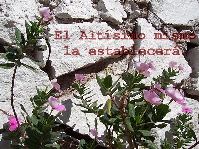 [El Altísimo mismo la establecerá (Salmo 87.5)]