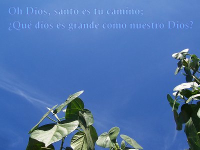 [Oh Dios, santo es tu camino; ¿Qu&eacute; dios es grande como nuestro Dios? (Salmo 77.13)]