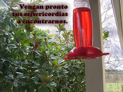 [Vengan pronto tus misericordias a encontrarnos (Salmo 79.8)]