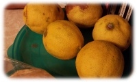 limes
