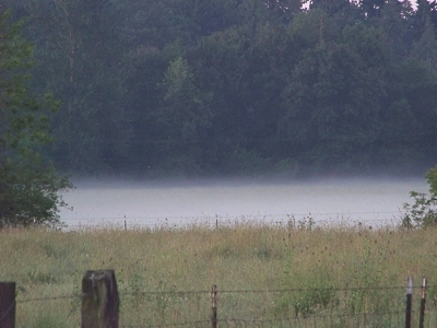Fog in the Pudding River bottoms