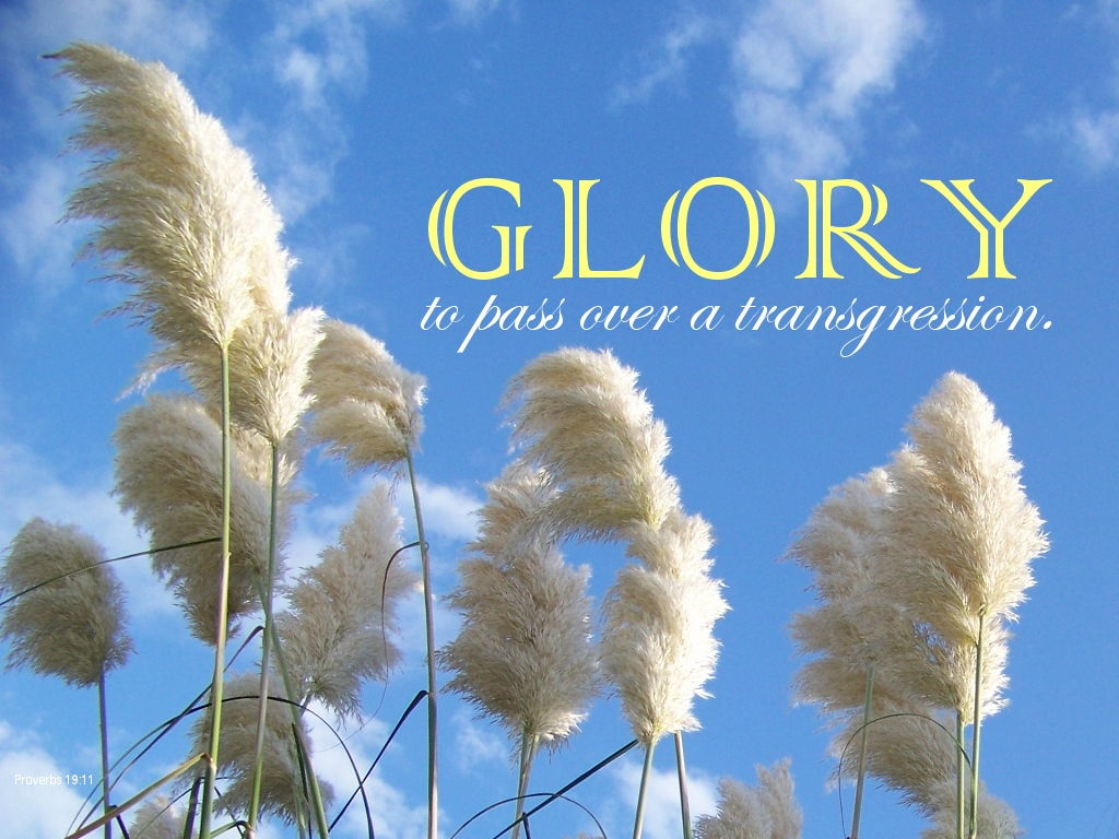 Glory to pass over a transgression (Proverbs 19:11)