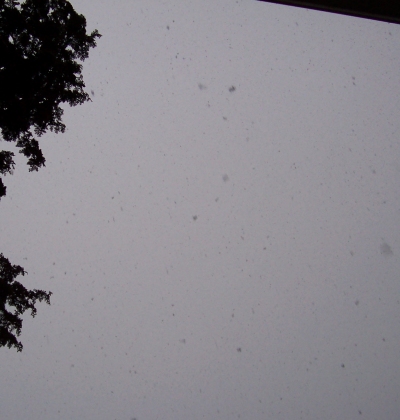 Looking up at the falling snow