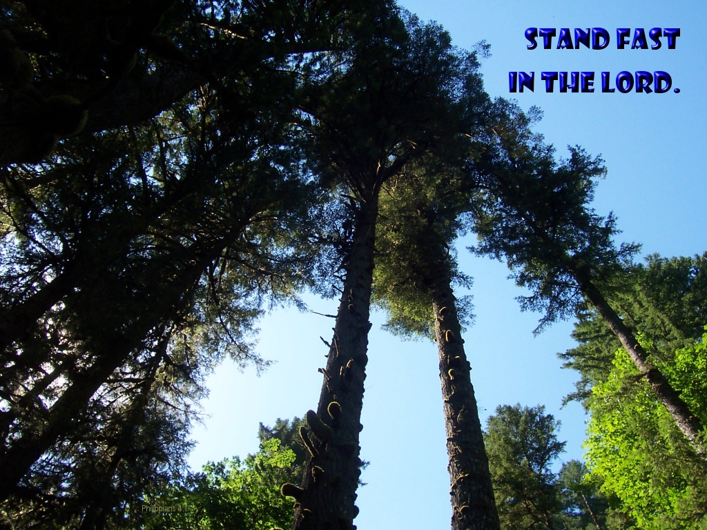 Stand fast in the Lord (Philippians 4:1)