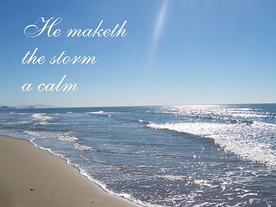 [He maketh the storm a calm]