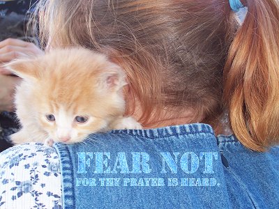 Fear Not