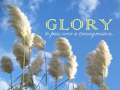 [Glory to pass over a transgression (Proverbs 19:11)]