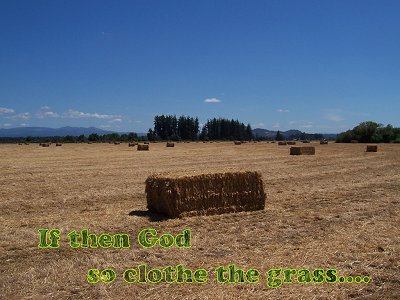 [If then God so clothe the grass... (Luke 12:28)]