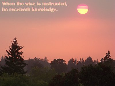 [When the wise is instructed, he receiveth knowledge (Proverbs 21:11)]