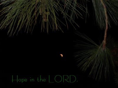 [Hope in the LORD (Psalm 131:3)]