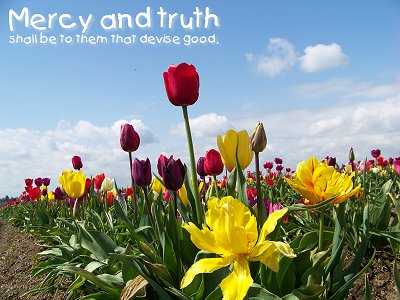 Mercy and truth shall be to them that devise good (Proverbs 14:22)