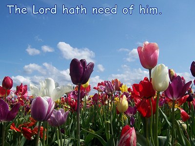 [The Lord hath need of him (Luke 19:34)]