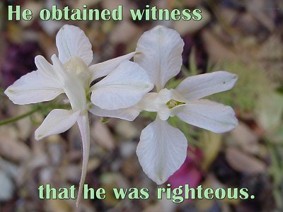 [He obtained witness that he was righteous (Hebrews 11:4)]