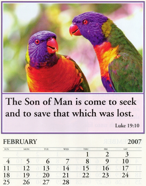 Parrot Message