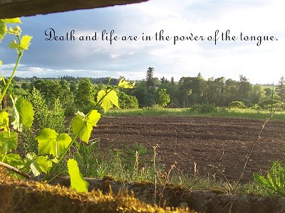 [Death and life are in the power of the tongue (Proverbs 18:21)]