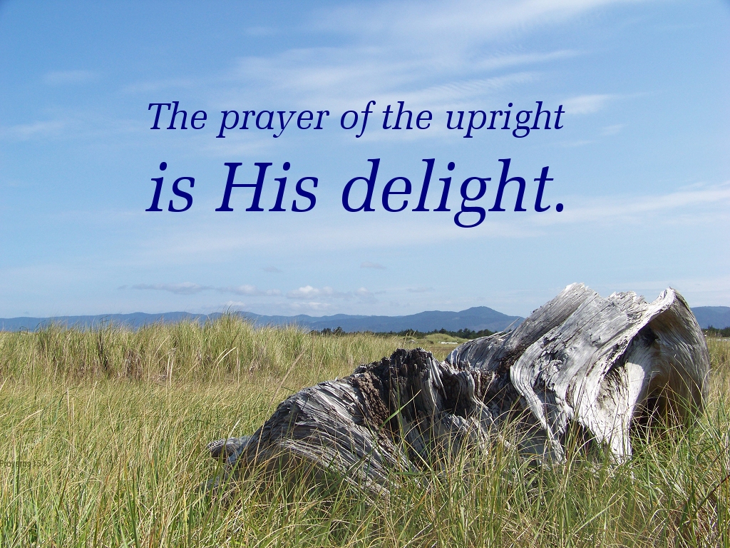 The prayer of the upright is his delight