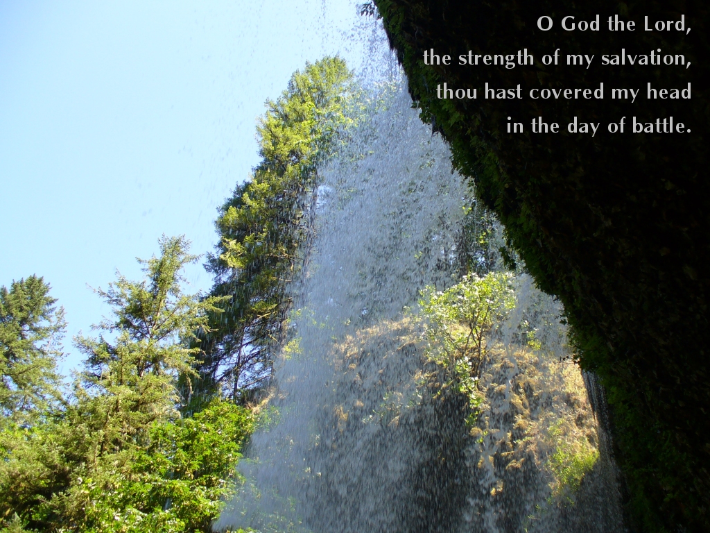 The strength of my salvation (Psalm 140:7)