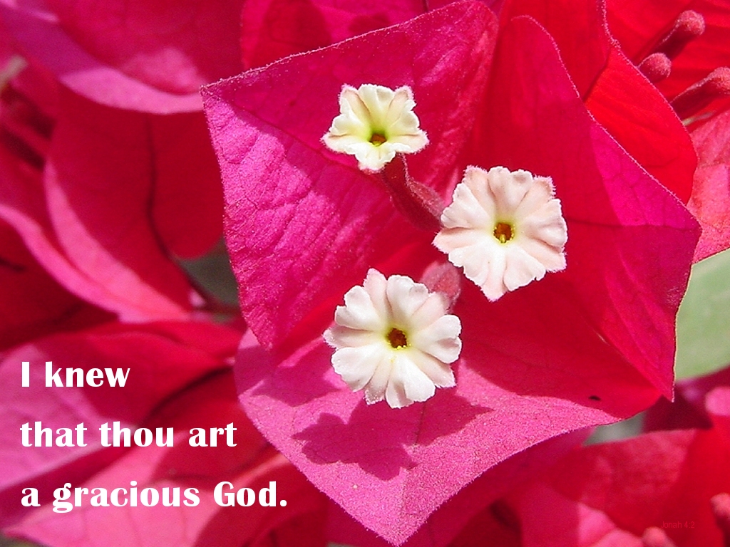 The Scriptures say in Jonah 4:2 -- I knew that thou art a gracious God