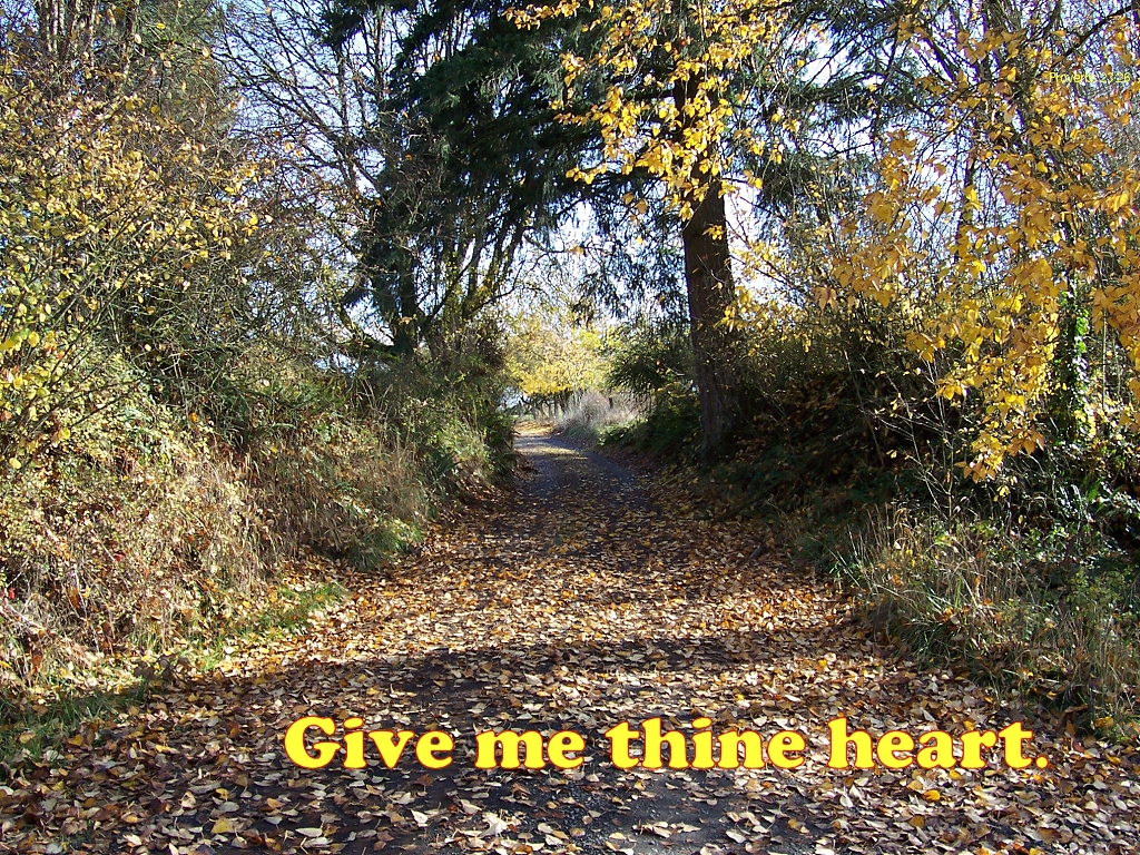 Give me thine heart.