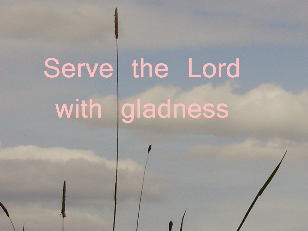 Serve the Lord with gladness (Psalm 100:2)