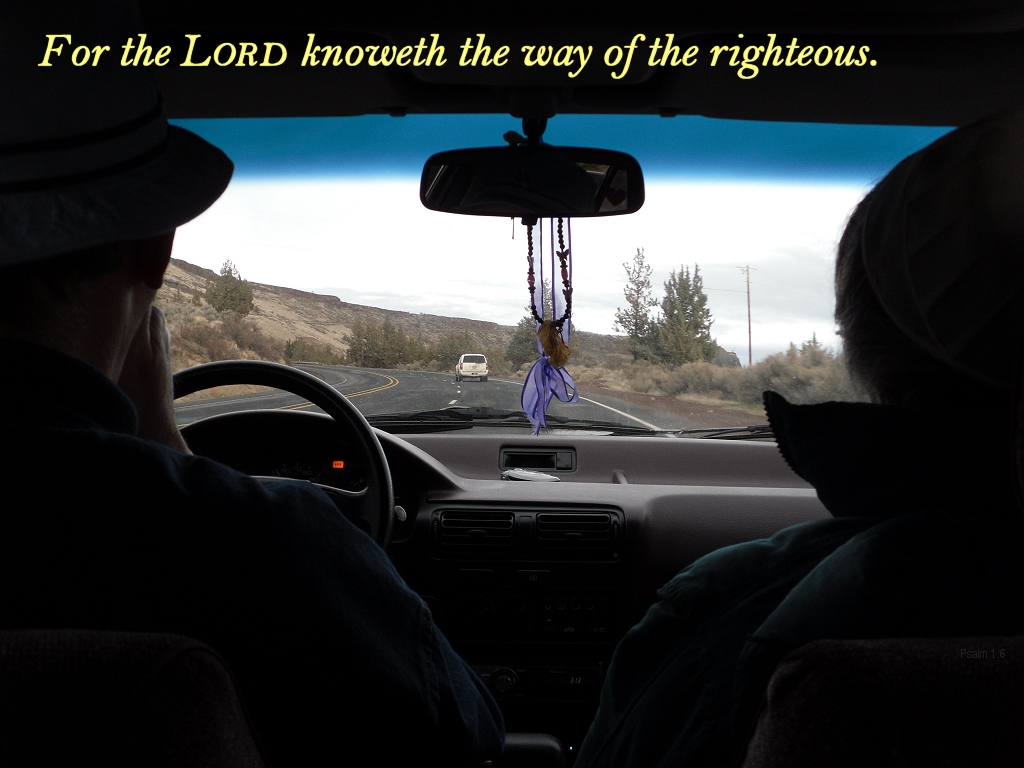 For the LORD knoweth the way of the righteous (Psalm 1:6)