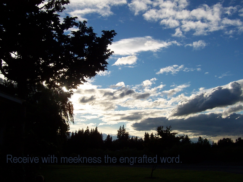 Receive with meekness the engrafted word (James 1:21)