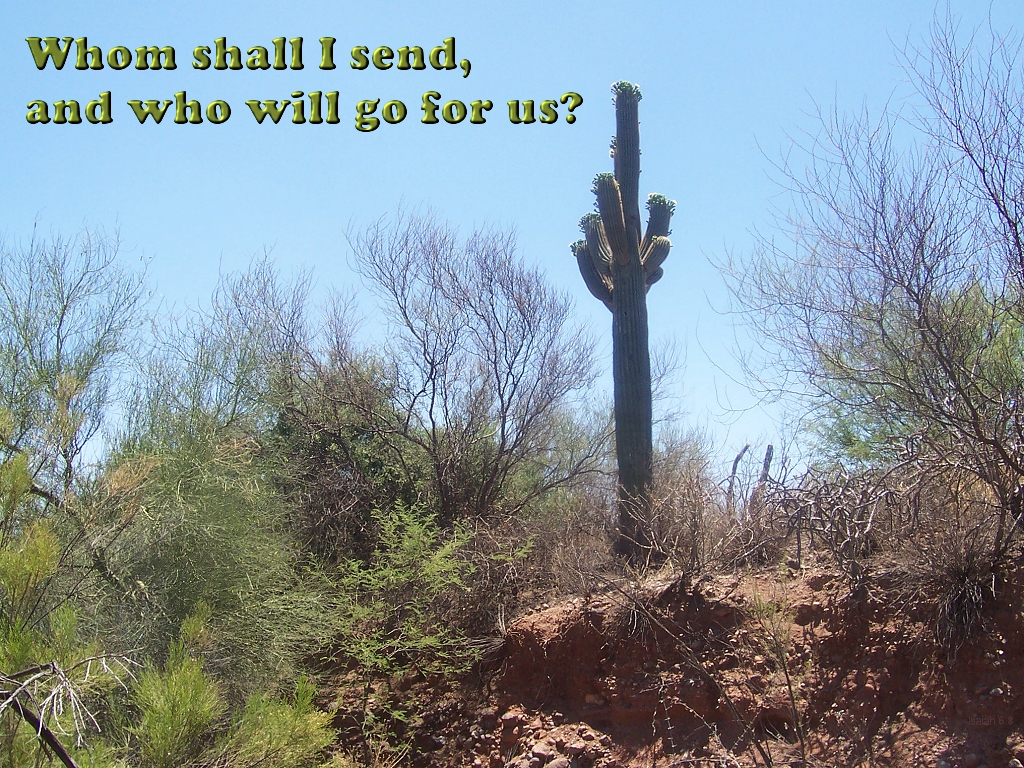 God's message: Whom shall I send? (Isaiah 6:8)