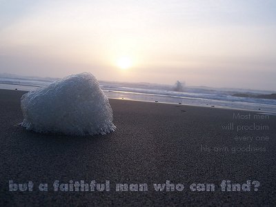 [Most men will proclaim every one his own goodness: but a faithful man who can find? (Proverbs 20:6)]